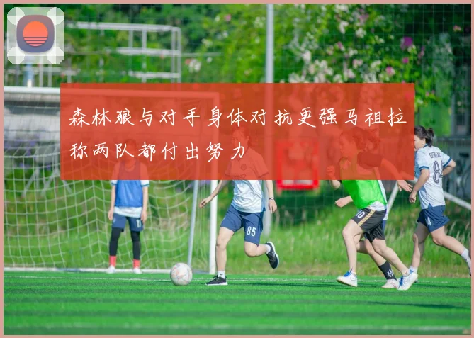 森林狼与对手身体对抗更强马祖拉称两队都付出努力